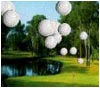 Flying Golf Screen Saver