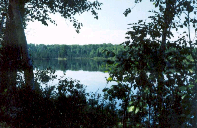 Scenic State Park near Bigfork Minnesota